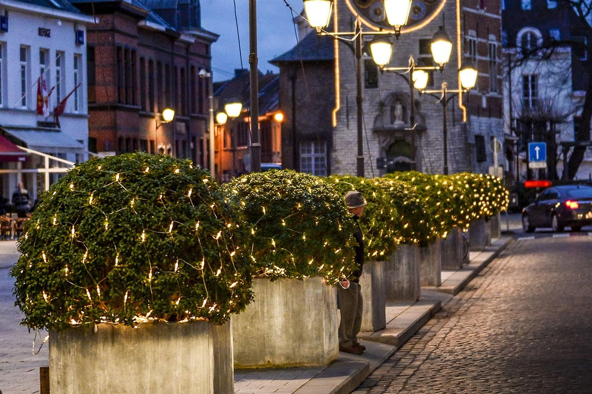 MK Illumination Mesh Lite® 36 V – LED-Lichternetz Niedervolt – 2 × 1 m · 96 LED / Warmweiß / Transparent (029-012) – Anwendung / Detail