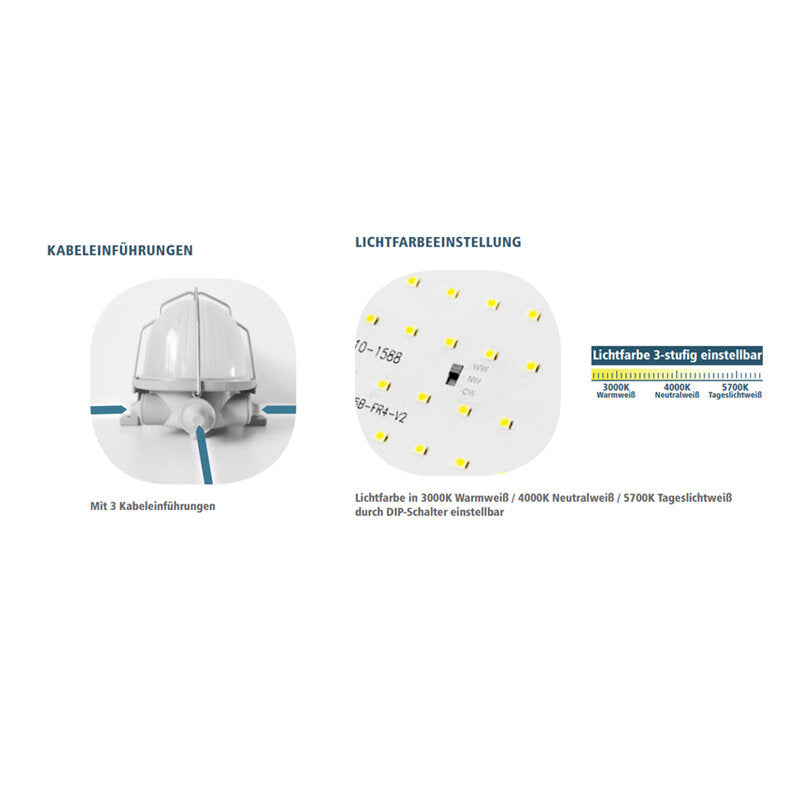Ovalleuchte LED, 10 W, Lichtfarbe einstellbar, IP44, weiß