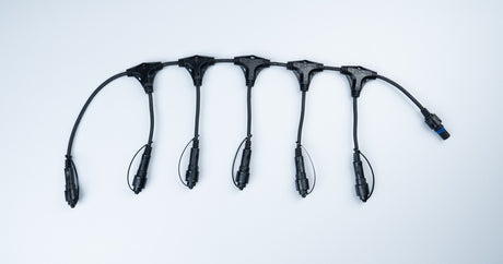 MK Illumination QF+ Verteiler (Divider) – 2, 3, 6, 11 oder 22 Ausgänge – 6 · Schwarz (001-127)