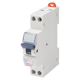 IMG:GW92207